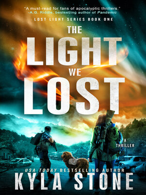cover image of The Light We Lost